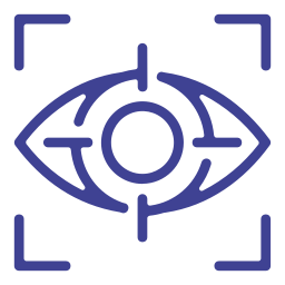vision